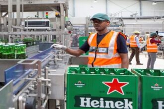 Heineken abre novas oportunidades de emprego