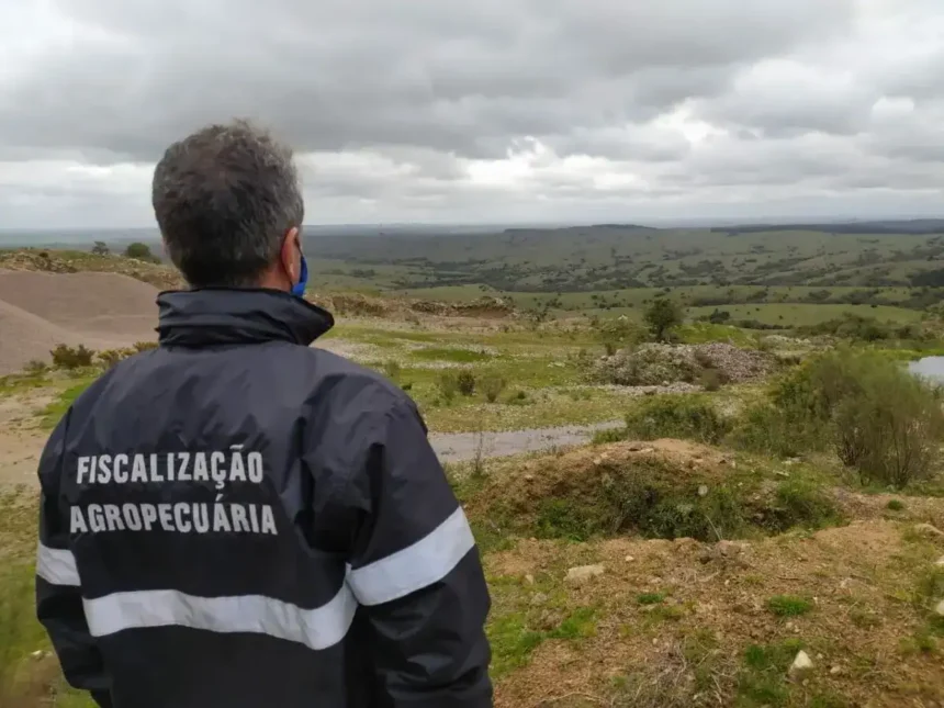 concurso público para fiscal agropecuário no Mato Grosso do Sul.